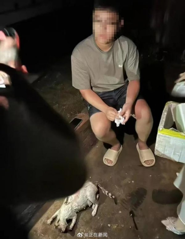 云谷策略 广东海洋大学通报学生虐猫：留校察看，暂停学业