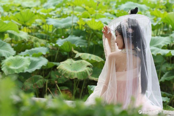 快牛策略 大明湖荷花绽放，游客身穿汉服化身“夏雨荷”打卡