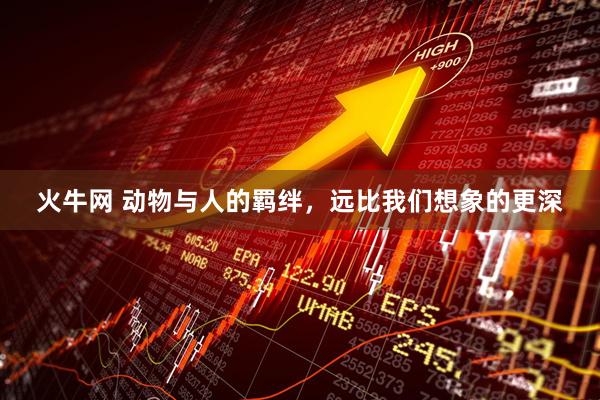火牛网 动物与人的羁绊，远比我们想象的更深