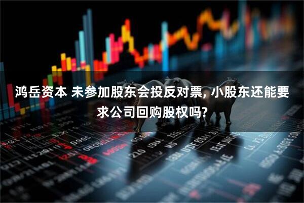 鸿岳资本 未参加股东会投反对票, 小股东还能要求公司回购股权吗?